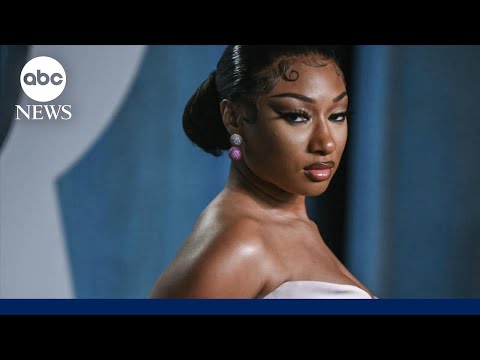 Megan Thee Stallion wins defamation trial against blogger