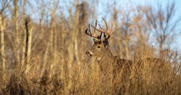 Hunter accidentally shoots and kills fellow hunter in Pennsylvania, authorities say