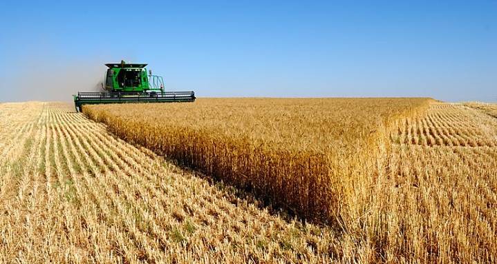 El trigo argentino concreta su primera exportación al mercado chino: más de 100 mil toneladas