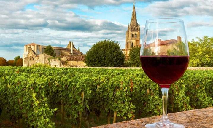 Grands Crus Classés, el ADN aromático de Burdeos