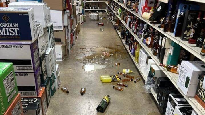 Raccoon goes on drunken rampage in liquor store