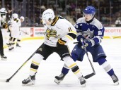 Sudbury Wolves vs. Sarnia Sting: OHL live blog tonight