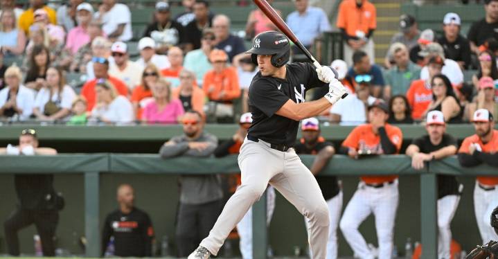 Yankees Top Prospects – Honorable Mentions