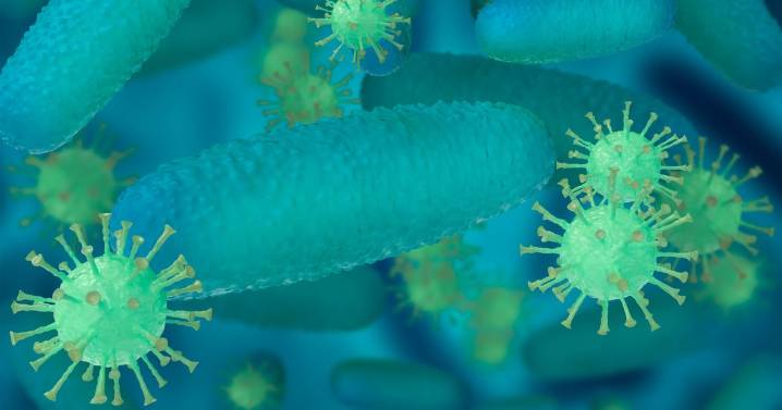 Virus de Marburgo: síntomas, transmisión y tratamiento tras nuevo caso confirmado por la OMS