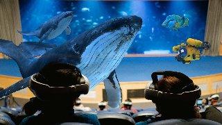 Oceanogràfic entre ballenas: la realidad aumentada llega con 'Inmersión'