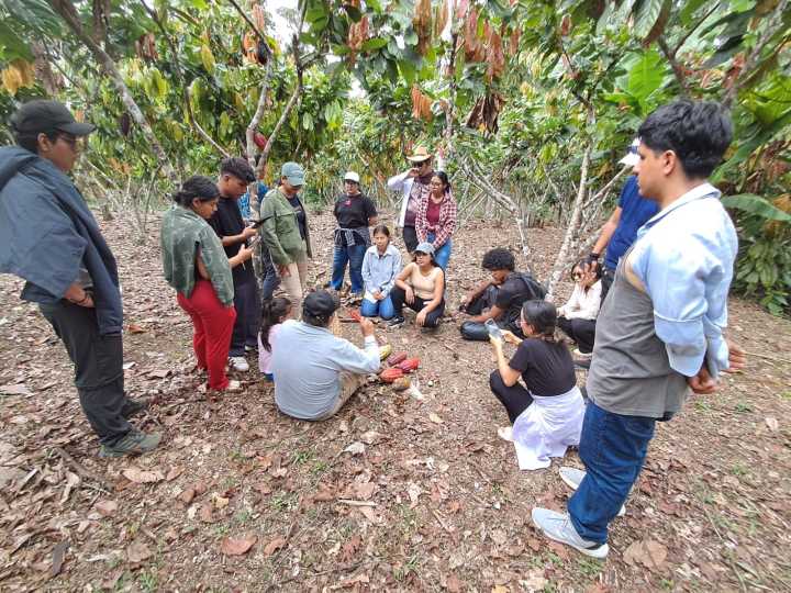 Yana Allpa: Una experiencia académica y turística entre aromas de cacao y sabiduría ancestral