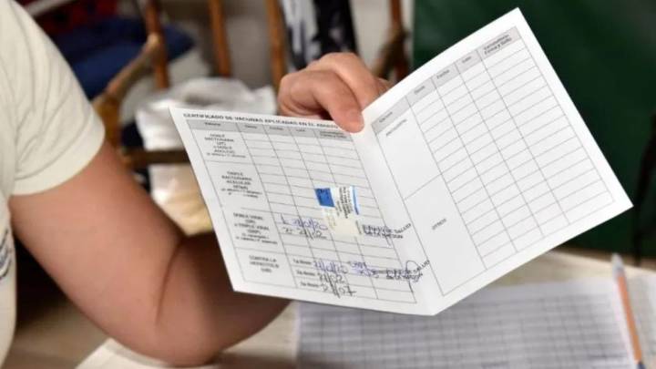 "Detectamos algunos médicos que falsifican los carnet de vacunación de los chicos"