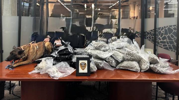 Jefferson County Sheriff's Office seizes more than 100 pounds of drugs