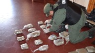 Gendarmería incautó más de 20 kilos de marihuana ocultos en una encomienda en Corrientes