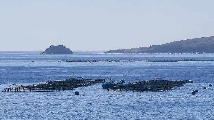 Nuevas dudas sobre el origen del vertido de Telde tras un mes con las playas cerradas