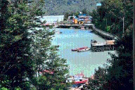 Cómo llegar a Caleta Tortel: uno de los lugares turísticos en Chile más auténticos