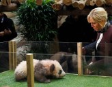 French first lady Brigitte Macron visits an old friend in China: A giant panda called Yuan Meng