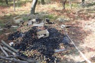 South Kashmir: Fire Destroys Hundreds of Apple Crates
