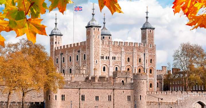 Arrests after custard and apple crumble thrown at Crown Jewels display case