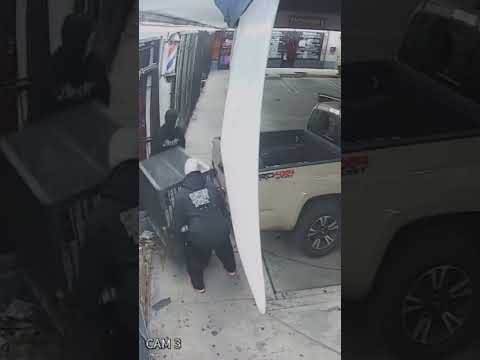 Rare $2,000 cat stolen from LA barbershop in brazen smash and grab #shorts