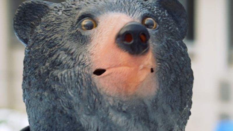 How Japan is attacking its deadly bear crisis