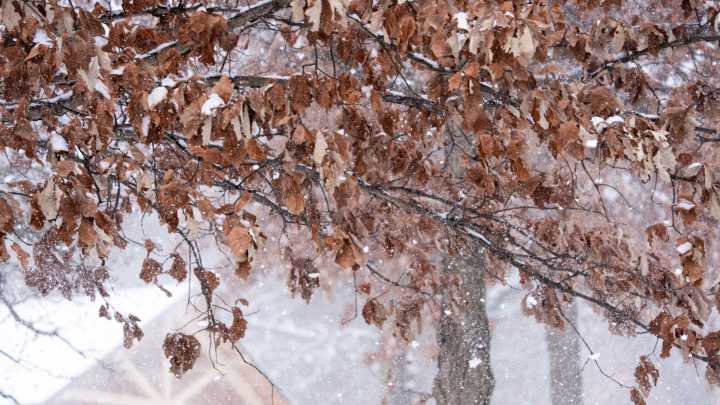 High wind warning expires after gusts hit 70+ mph in Iowa