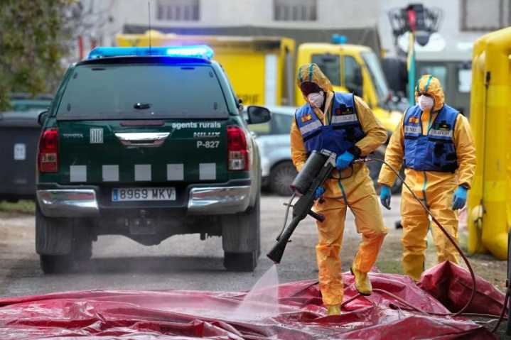 El Govern catalán asegura que el brote de peste porcina africana está «controlado»