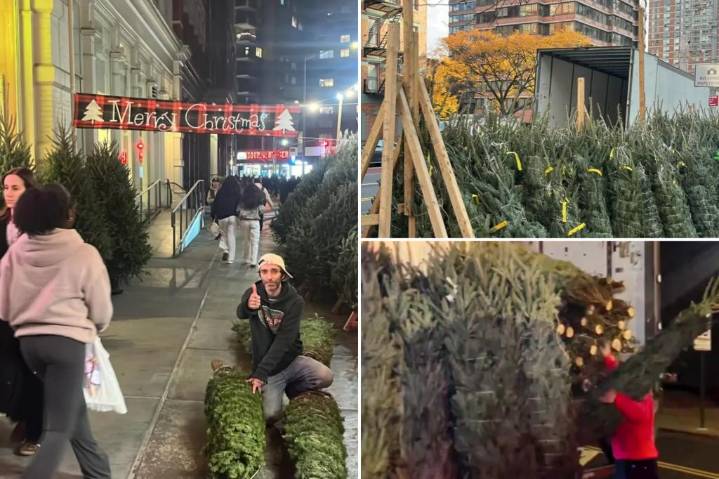 Exclusive | Little-known ‘Christmas Tree Law’ bans sidewalk sales in NYC before this date – but it hasn’t stopped a flurry of early sales