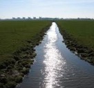 Odisha shocker: Woman hangs toddler daughter from tree, throws her into ditch before fleeing