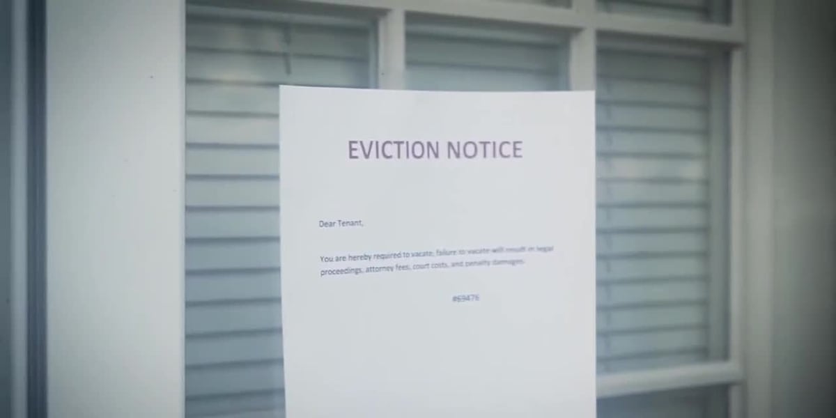 Surge in housing insecurity fueling mental health challenges, Tallahassee organizations say