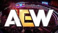AEW Wrestler Suffered Torn ACL In Recent Match