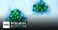 More than 130 students out sick after suspected norovirus outbreak at Massachusetts school