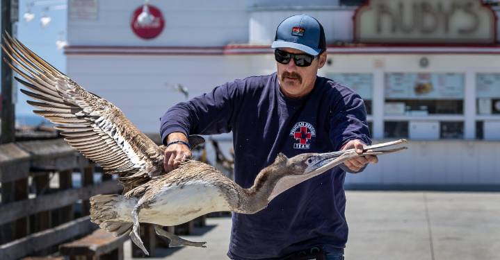 Get Your Blazers-Pelicans Second-Half Discussion Here!
