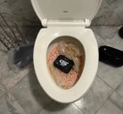 Brockton man caught trying to flush pills while on home confinement, officials say