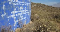 Petroglifos en el Cerro Mal Paso del distrito de Mollebaya con riesgo de desaparecer