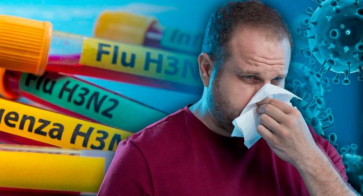 Influenza H3N2 en México: confirman primer caso de la “super gripa” subclado K en el país