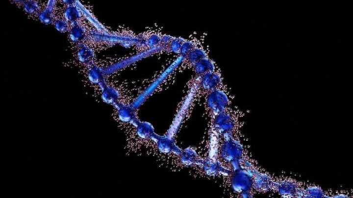 Mapas génicos con sesgos