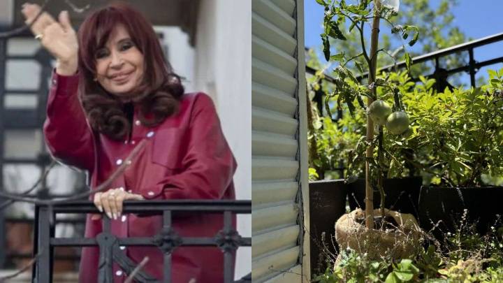 Cristina Kirchner compartió "la historia del tomate peronista"