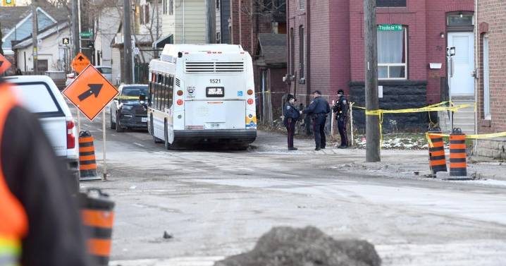 Hamilton bus driver, caregiver not at fault in death of boy