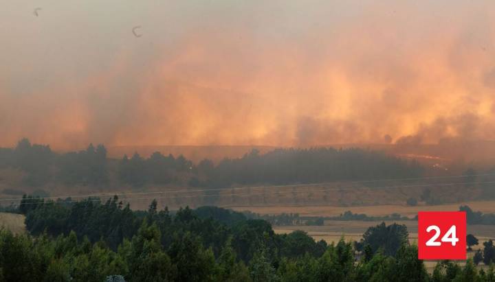 Declaran Alerta Roja en Valparaíso por incendio forestal: llaman a evacuar