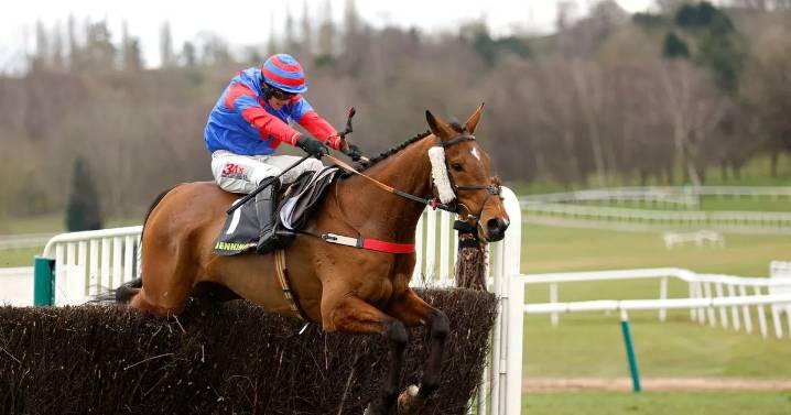 Mr Vango heads weights and betting for the Becher Chase at Aintree Racecourse