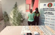 Desarticulan kioscos de venta de drogas en Alberdi y Graneros