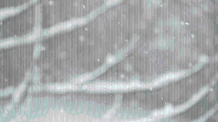 Light wintry weather to hit the Ozarks Monday