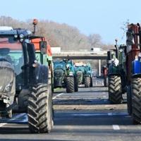 'Stop the slaughter': French farmers block roads over cow disease cull