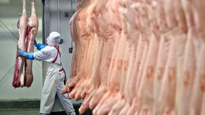 Frigoríficos se preparan para cerrar, ante la caída de los costos y la faena