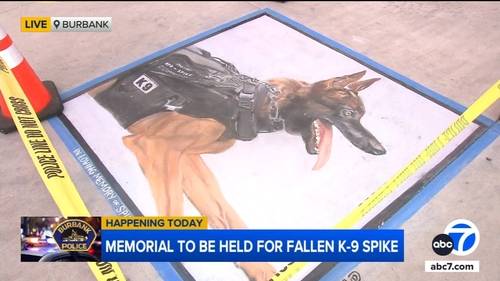 Burbank police K-9 Spike to be honored at memorial service and procession today after being killed on duty