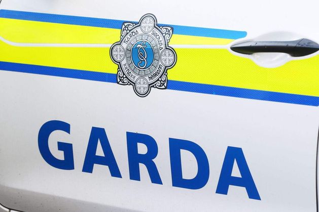 Rhino horns, designer goods and €400,000 seized in Limerick garda raids