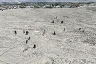 Líneas de Nasca: campaña de limpieza recolectó media tonelada de residuos sólidos