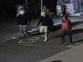 Suspects sought after more than 600 artefacts stolen from museum collection