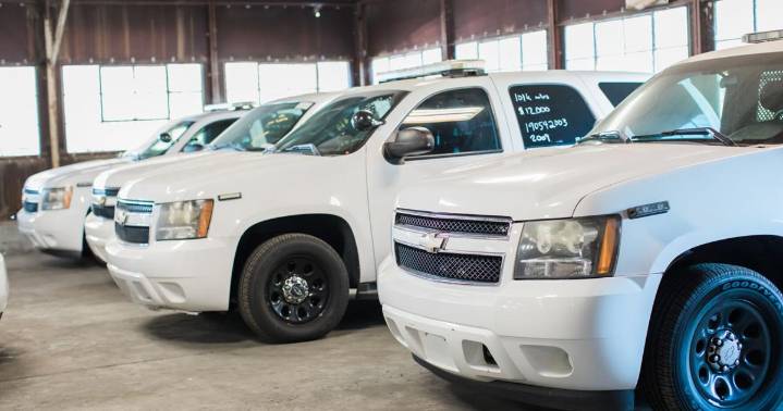 Need a gift idea? Police auctions yield interesting items