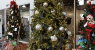 How 'Magical Christmas Trees' raise money for local schools
