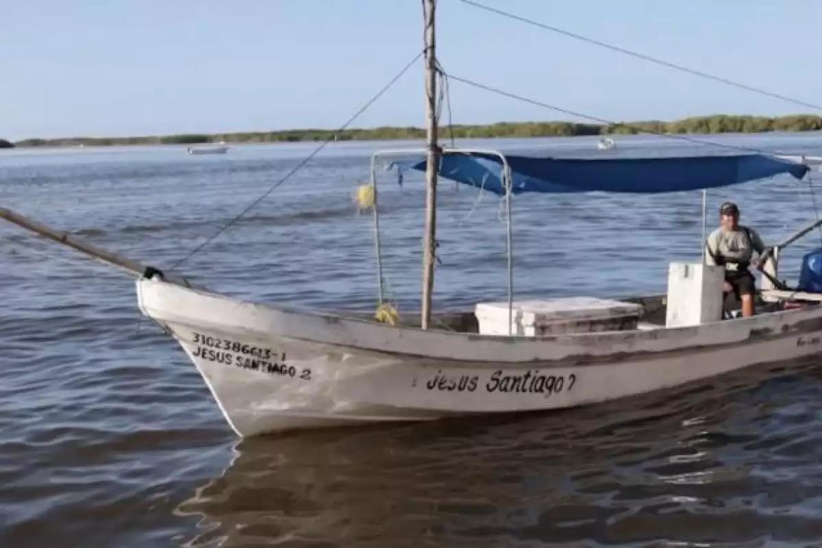 Amplían la cuota de captura de pulpo en Yucatán de 28 a 32 mil toneladas