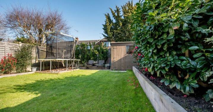 UK households urged to leave biscuits in the garden