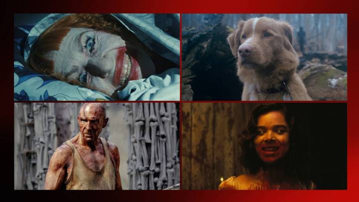 The Best Horror Movies of 2025 According to Our Horror Expert