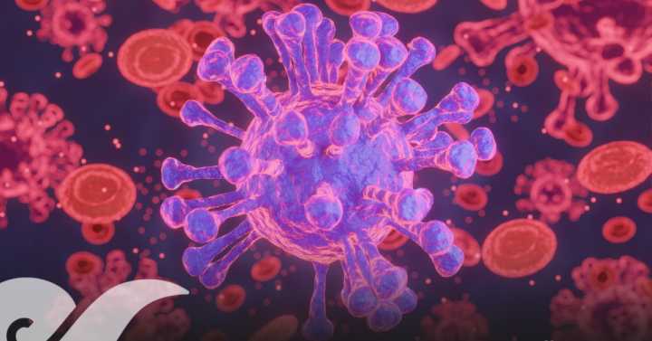 Hay alerta epidemiológica por virus A H3N2 y esto es lo que debes saber según la OMS